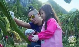 挽青被观花哥爆料视频,真相背后引人深思